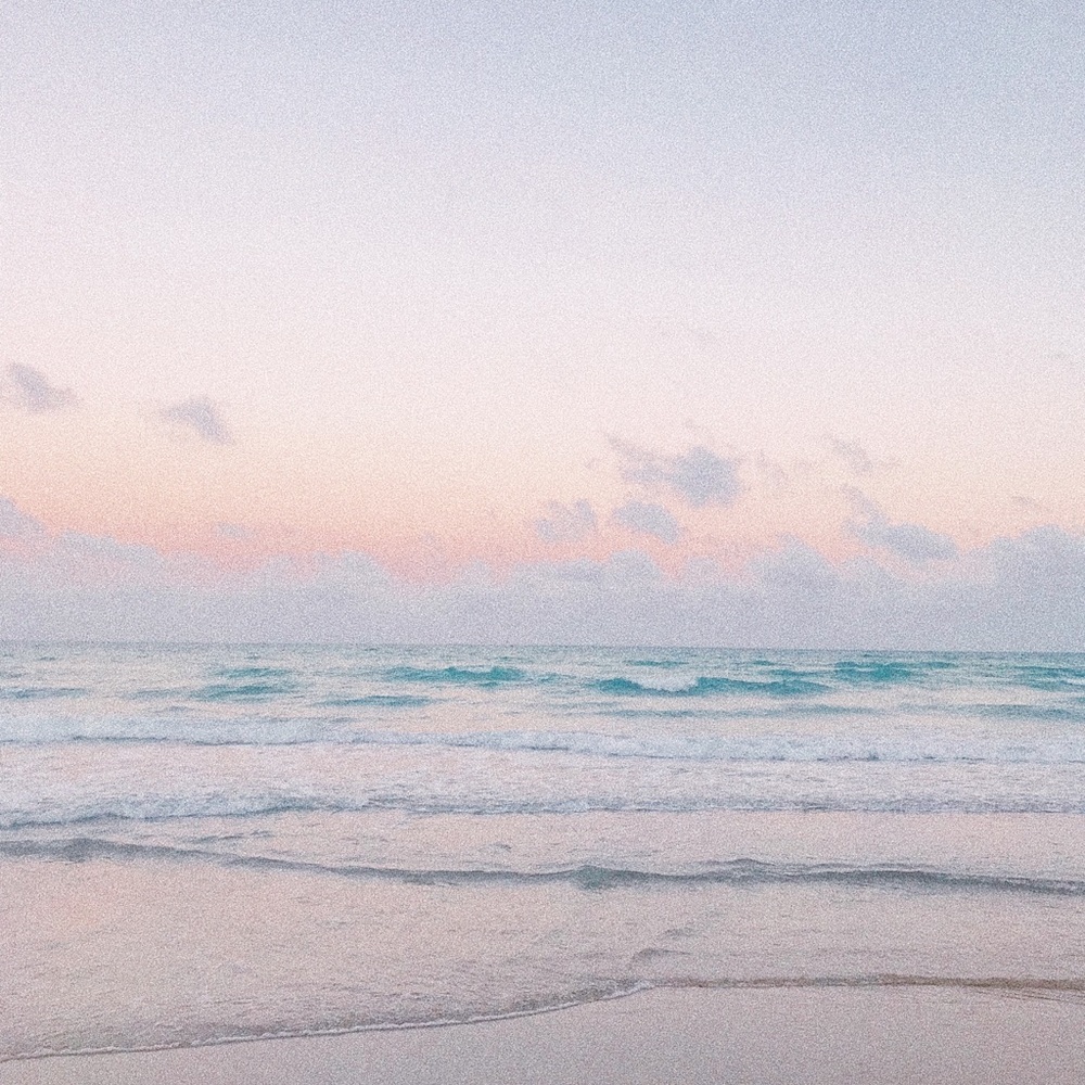 Meet your Posher, Sophia